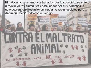 El gato junto a su amo, contrariados por lo sucedido, se unieron
a movimientos animalistas para luchar por sus derechos. Y
convocaron manifestaciones mediante redes sociales para
denunciar lo ocurrido con su amigo.
 