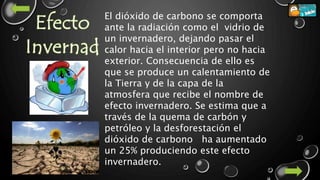 El dióxido de carbono se comporta
ante la radiación como el vidrio de
un invernadero, dejando pasar el
calor hacia el interior pero no hacia
exterior. Consecuencia de ello es
que se produce un calentamiento de
la Tierra y de la capa de la
atmosfera que recibe el nombre de
efecto invernadero. Se estima que a
través de la quema de carbón y
petróleo y la desforestación el
dióxido de carbono ha aumentado
un 25% produciendo este efecto
invernadero.
 