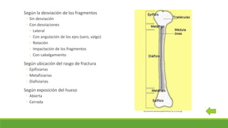 Según la desviación de los fragmentos
◦ Sin desviación
◦ Con desviaciones
◦ Lateral
◦ Con angulación de los ejes (varo, valgo)
◦ Rotación
◦ Impactación de los fragmentos
◦ Con cabalgamiento
Según ubicación del rasgo de fractura
◦ Epifisiarias
◦ Metafisiarias
◦ Diafisiarias
Según exposición del hueso
◦ Abierta
◦ Cerrada
http://commons.wikimedia.org/wiki/File:Partes_de_un_hueso.jpg
 
