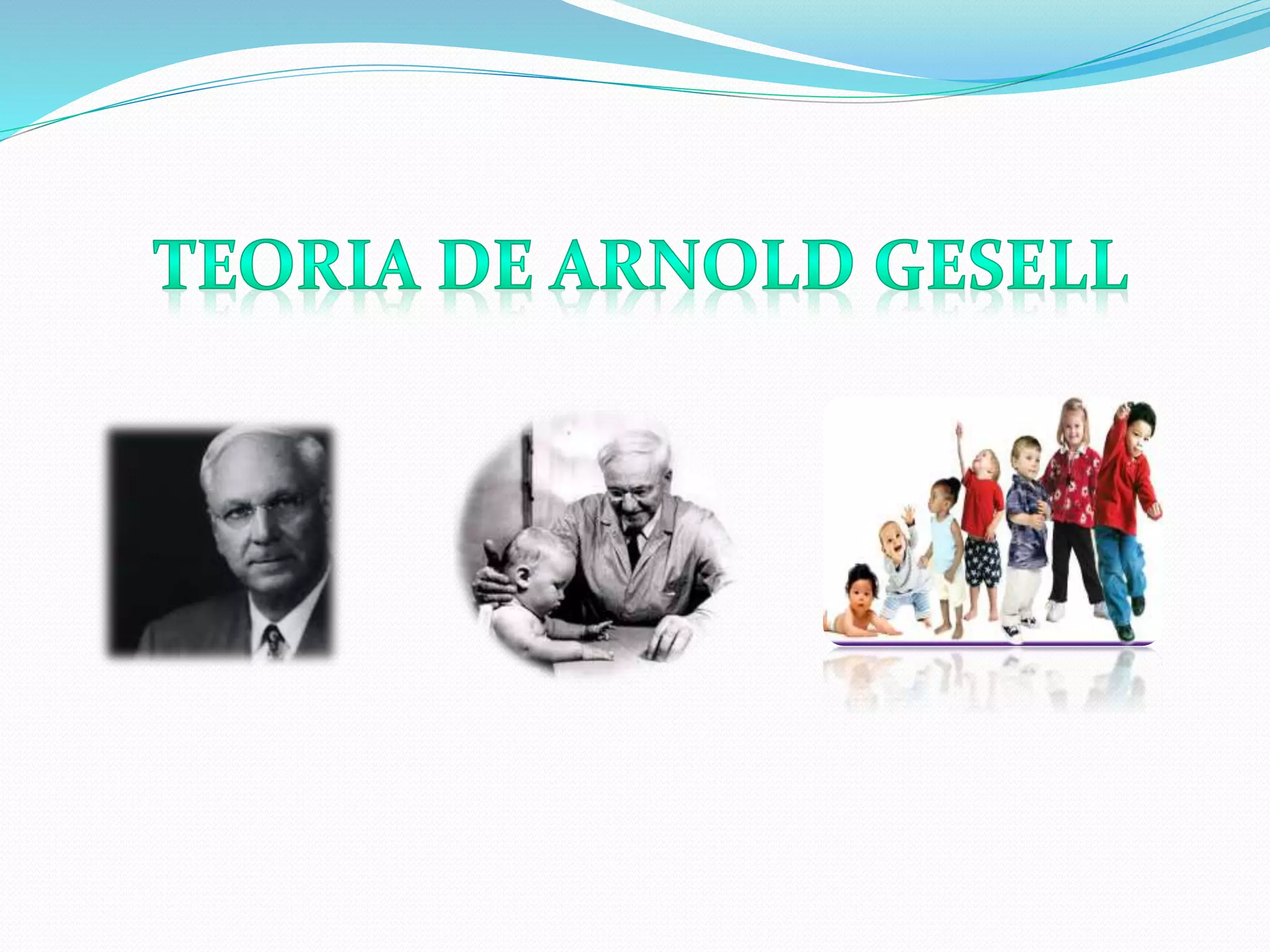 Teoria del desarrollo de Arnold Gesell | PPT