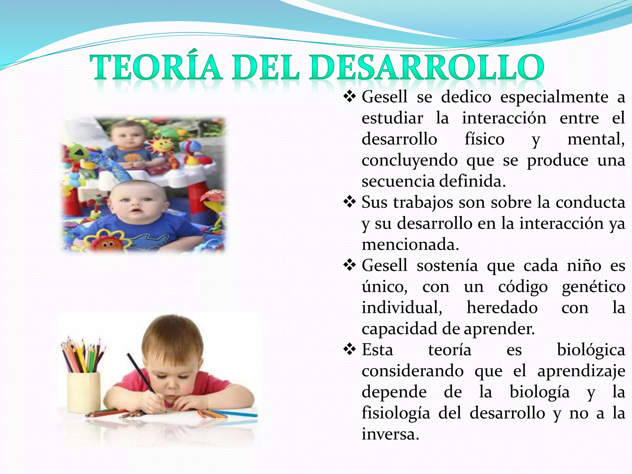 Teoria del desarrollo de Arnold Gesell | PPT