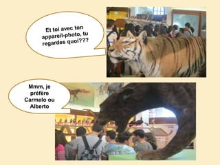 Mmm, je
préfère
Carmelo ou
Alberto