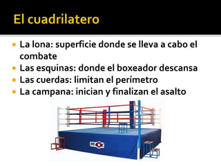  La lona: superficie donde se lleva a cabo el
combate
 Las esquinas: donde el boxeador descansa
 Las cuerdas: limitan el perímetro
 La campana: inician y finalizan el asalto
 