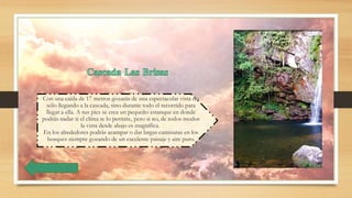 Con una caída de 17 metros gozarás de una espectacular vista no
sólo llegando a la cascada, sino durante todo el recorrido para
llegar a ella. A sus pies se crea un pequeño estanque en donde
podrás nadar si el clima te lo permite, pero si no, de todos modos
la vista desde abajo es magnífica.
En los alrededores podrás acampar o dar largas caminatas en los
bosques siempre gozando de un excelente paisaje y aire puro.
 