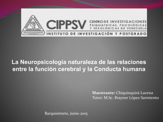 La Neuropsicología naturaleza de las relaciones
entre la función cerebral y la Conducta humana
Maestrante: Chiquinquirá Lucena
Tutor: M.Sc. Brayner López Sarmiento
Barquisimeto, junio 2015
 