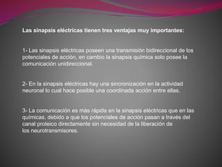 Las sinapsis eléctricas tienen tres ventajas muy importantes:
1- Las sinapsis eléctricas poseen una transmisión bidireccional de los
potenciales de acción, en cambio la sinapsis química solo posee la
comunicación unidireccional.
2- En la sinapsis eléctricas hay una sincronización en la actividad
neuronal lo cual hace posible una coordinada acción entre ellas.
3- La comunicación es más rápida en la sinapsis eléctricas que en las
químicas, debido a que los potenciales de acción pasan a través del
canal proteico directamente sin necesidad de la liberación de
los neurotransmisores.
 