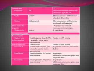 Aminoácidos
Glutamato SNC
El
neurotransmisor excitatorio más
abundante (75%) del SNC
GABA Encéfalo El neurotransmisor inhibitorio más
abundante del encéfalo
Glicina Médula espinal El neurotransmisor inhibitorio más
común de la médula espinal
Otras moléculas
pequeñas
Óxido nítrico Incierto
Pudiera ser una señal de la
membrana postsináptica para
la presináptica
Transmisores grandes
Neuropéptidos
Péptido vaso-
activo intestinal
Encéfalo; algunas fibras del SNA
y sensoriales, retina, tracto
gastrointestinal
Función en el SN incierta
Colecistoquinina Encéfalo; retina Función en el SN incierta
Sustancia P Encéfalo;médula espinal, rutas
sensoriales de dolor, tracto
gastrointestinal
Mayormente excitatorio; sensaciones
de dolor
Encefalinas Varias regiones del SNC; retina;
tracto intestinal
Mayormente
inhibitorias; actuan como opiatos para
bloquear el dolor
Endorfinas Varias regiones del SNC; retina;
tracto intestinal
Mayormente
inhibitorias; actúan como opiatos para
bloquear el dolor
 