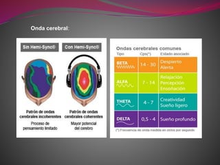 Onda cerebral:
 