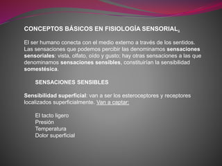 CONCEPTOS BÁSICOS EN FISIOLOGÍA SENSORIAL.
El ser humano conecta con el medio externo a través de los sentidos.
Las sensaciones que podemos percibir las denominamos sensaciones
sensoriales: vista, olfato, oído y gusto; hay otras sensaciones a las que
denominamos sensaciones sensibles, constituirían la sensibilidad
somestésica.
SENSACIONES SENSIBLES
Sensibilidad superficial: van a ser los esteroceptores y receptores
localizados superficialmente. Van a captar:
El tacto ligero
Presión
Temperatura
Dolor superficial
 