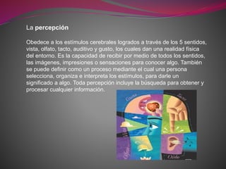La percepción
Obedece a los estímulos cerebrales logrados a través de los 5 sentidos,
vista, olfato, tacto, auditivo y gusto, los cuales dan una realidad física
del entorno. Es la capacidad de recibir por medio de todos los sentidos,
las imágenes, impresiones o sensaciones para conocer algo. También
se puede definir como un proceso mediante el cual una persona
selecciona, organiza e interpreta los estímulos, para darle un
significado a algo. Toda percepción incluye la búsqueda para obtener y
procesar cualquier información.
 