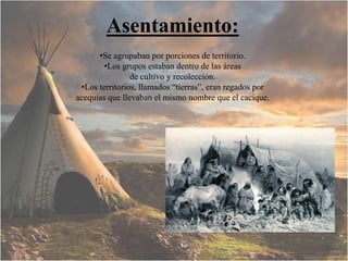 Asentamiento:
•Se agrupaban por porciones de territorio.
•Los grupos estaban dentro de las áreas
de cultivo y recolección.
•Los territorios, llamados “tierras”, eran regados por
acequias que llevaban el mismo nombre que el cacique.
 