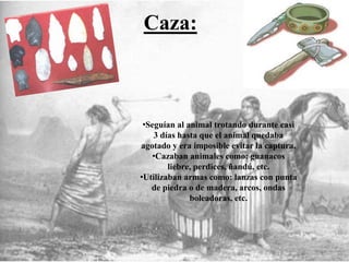 Caza:
•Seguían al animal trotando durante casi
3 días hasta que el animal quedaba
agotado y era imposible evitar la captura.
•Cazaban animales como: guanacos
liebre, perdices, ñandú, etc.
•Utilizaban armas como: lanzas con punta
de piedra o de madera, arcos, ondas
boleadoras, etc.
 