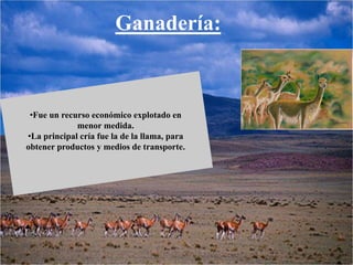 Ganadería:
•Fue un recurso económico explotado en
menor medida.
•La principal cría fue la de la llama, para
obtener productos y medios de transporte.
 