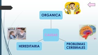 CAUSAS
ORGANICA
PROBLEMAS
CEREBRALESHEREDITARIA