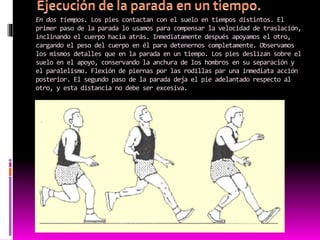 En dos tiempos. Los pies contactan con el suelo en tiempos distintos. El
primer paso de la parada lo usamos para compensar la velocidad de traslación,
inclinando el cuerpo hacia atrás. Inmediatamente después apoyamos el otro,
cargando el peso del cuerpo en él para detenernos completamente. Observamos
los mismos detalles que en la parada en un tiempo. Los pies deslizan sobre el
suelo en el apoyo, conservando la anchura de los hombros en su separación y
el paralelismo. Flexión de piernas por las rodillas par una inmediata acción
posterior. El segundo paso de la parada deja el pie adelantado respecto al
otro, y esta distancia no debe ser excesiva.
 