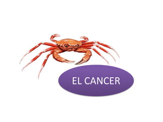 EL CANCER
 