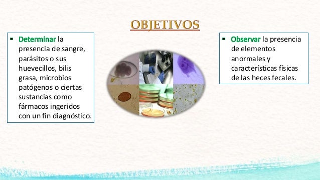 toma de muestra de heces