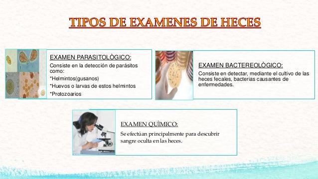 toma de muestra de heces