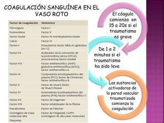 COAGULACIÓN SANGUÍNEA EN EL
VASO ROTO El cóagulo
comienza en
15 a 20s si el
traumatismo
es grave
De 1 a 2
minutos si el
traumatismo
ha sido leve
Las sustancias
activadoras de
la pared vascular
traumatizada
comienza la
coagulación
 