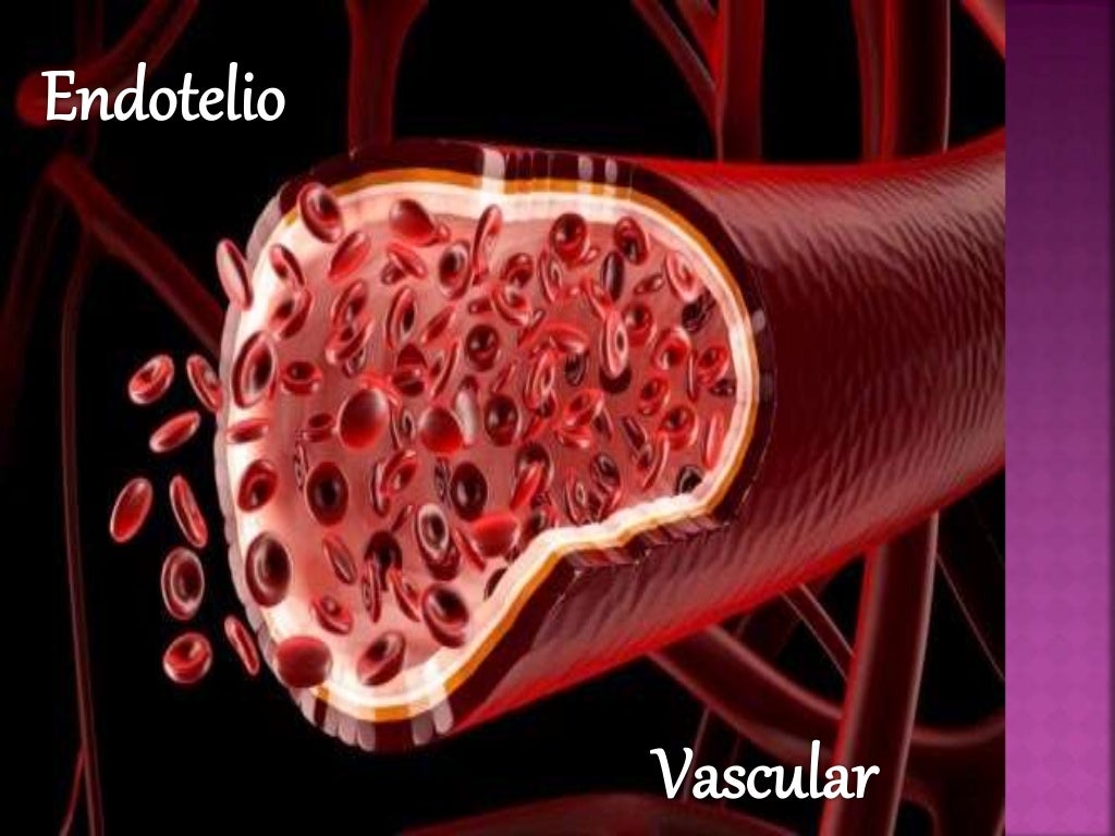 Endotelio vascular