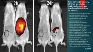 Nanopartículas atacan y
eliminan las células
madre del cáncer que
impulsan el crecimiento
de tumores
Los fármacos contra el cáncer a
menudo pueden reducir los
tumores, pero no eliminan las
células madre del cáncer
Los investigadores
empaquetaron un fármaco
contra el cáncer, en
nanopartículas recubiertas con
quitosano, un polisacárido
natural que puede dirigirse
específicamente a células
madre cancerosas. Una vez en el
medio ácido del tumor, las
nanopartículas se degradan y
liberan el fármaco.
Después de dos horas, las
nanopartículas especiales se
acumularon en las células
cancerosas de y destruyeron la
mayor parte del tumor en un día
FUENTE
 