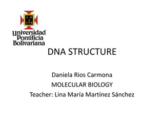 DNA STRUCTURE
Daniela Rios Carmona
MOLECULAR BIOLOGY
Teacher: Lina María Martínez Sánchez
 