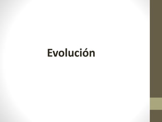 Evolución
 