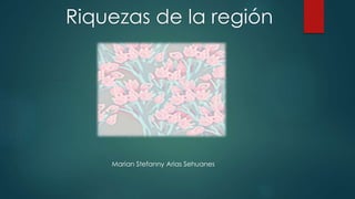 Riquezas de la región
Marian Stefanny Arias Sehuanes
 