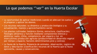 Lo que podemos ‘’ver’’ en la Huerta Escolar
• La oportunidad de aplicar mediciones cuando se adecuan los suelos y
al preparar y aplicar los abonos.
• Los recursos naturales: su dinámica y producción biológica y su
actualización, manejo y aprovechamiento social.
• Las plantas cultivadas: botánica (forma, estructura, clasificación)
fisiología (dinámica y función mediante componentes bióticos y
abióticos: suelo, clima, competencia, por espacio y luz en
intercultivos) producción agrícola (productividad en desarrollo vegetal
por tiempo y espacio; factores determinantes pros y contras)
• La fauna de la Huerta: Presencia de animales, observación, registro de
datos y descripción (clasificación) recursos de la Huerta que la fauna
aprovecha, causas y consecuencias.
 