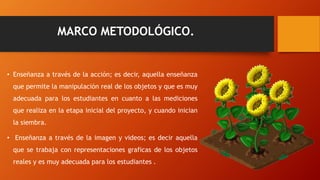 MARCO METODOLÓGICO.
• Enseñanza a través de la acción; es decir, aquella enseñanza
que permite la manipulación real de los objetos y que es muy
adecuada para los estudiantes en cuanto a las mediciones
que realiza en la etapa inicial del proyecto, y cuando inician
la siembra.
• Enseñanza a través de la imagen y videos; es decir aquella
que se trabaja con representaciones graficas de los objetos
reales y es muy adecuada para los estudiantes .
 