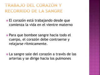  El corazón está trabajando desde que
comienza la vida en el vientre materno
 Para que bombee sangre hacia todo el
cuerpo, el corazón debe contraerse y
relajarse rítmicamente.
 La sangre sale del corazón a través de las
arterias y se dirige hacia los pulmones
 