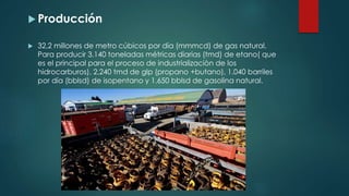  Producción
 32,2 millones de metro cúbicos por día (mmmcd) de gas natural.
Para producir 3.140 toneladas métricas diarias (tmd) de etano( que
es el principal para el proceso de industrializaciòn de los
hidrocarburos), 2,240 tmd de glp (propano +butano), 1.040 barriles
por día (bblsd) de isopentano y 1.650 bblsd de gasolina natural.
 