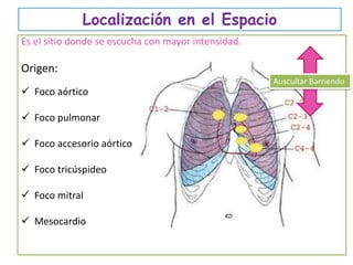 Localización en el Espacio
Es el sitio donde se escucha con mayor intensidad.
Origen:
 Foco aórtico
 Foco pulmonar
 Foco accesorio aórtico
 Foco tricúspideo
 Foco mitral
 Mesocardio
Auscultar Barriendo
 