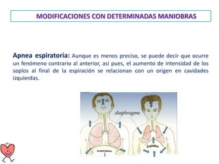 MODIFICACIONES CON DETERMINADAS MANIOBRAS
Apnea espiratoria: Aunque es menos preciso, se puede decir que ocurre
un fenómeno contrario al anterior, así pues, el aumento de intensidad de los
soplos al final de la espiración se relacionan con un origen en cavidades
izquierdas.
 