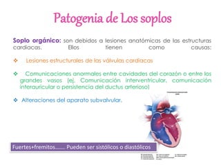 Patogenia de Los soplos
Soplo orgánico: son debidos a lesiones anatómicas de las estructuras
cardiacas. Ellos tienen como causas:
 Lesiones estructurales de las válvulas cardiacas
 Comunicaciones anormales entre cavidades del corazón o entre los
grandes vasos (ej. Comunicación interventricular, comunicación
interauricular o persistencia del ductus arterioso)
 Alteraciones del aparato subvalvular.
Fuertes+fremitos……. Pueden ser sistólicos o diastólicos
 