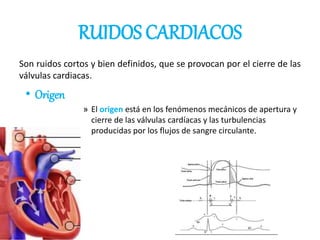 RUIDOS CARDIACOS
Son ruidos cortos y bien definidos, que se provocan por el cierre de las
válvulas cardiacas.
• Origen
» El origen está en los fenómenos mecánicos de apertura y
cierre de las válvulas cardíacas y las turbulencias
producidas por los flujos de sangre circulante.
 