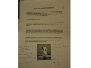 Composiciones de ingles 5IV12