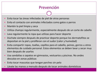 Prevención
 Evita tocar las áreas infectadas de piel de otras personas
 Evita el contacto con animales infectados como gatos o perros
 Mantén la piel limpia y seca
 Utiliza champú regularmente, especialmente después de un corte de cabello
 Lava regularmente la ropa que utilizas para hacer deporte
 Dúchate siempre después de practicar deporte porque los dermatofitos se
depositan en la piel y proliferan con el sudor (calor y humedad)
 Evita compartir ropas, toallas, cepillos para el cabello, peines, gorros u otros
elementos de cuidado personal. Estos elementos se deben lavar y secar muy
bien después de usarlos
 Usa sandalias o zapatos en gimnasios, vestuarios y piscinas. No andes
descalzo en zonas públicas
 Evita tocar mascotas que tengan parches sin pelo
 Lávate las manos a menudo después de tocar animales domésticos
 