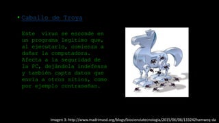Imagen 3: http://www.madrimasd.org/blogs/biocienciatecnologia/2015/06/08/133242hamweq-da
• Caballo de Troya
Este virus se esconde en
un programa legítimo que,
al ejecutarlo, comienza a
dañar la computadora.
Afecta a la seguridad de
la PC, dejándola indefensa
y también capta datos que
envía a otros sitios, como
por ejemplo contraseñas.
 