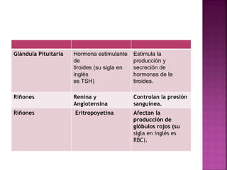 Glándula Pituitaria Hormona estimulante
de
tiroides (su sigla en
inglés
es TSH)
Estimula la
producción y
secreción de
hormonas de la
tiroides.
Riñones Renina y
Angiotensina
Controlan la presión
sanguínea.
Riñones Eritropoyetina Afectan la
producción de
glóbulos rojos (su
sigla en inglés es
RBC).
 