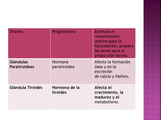 Ovarios Progesterona Estimula el
revestimiento
uterino para la
fecundación; prepara
los senos para la
producción láctea.
Glándulas
Paratiroideas
Hormona
paratiroidea
Afecta la formación
ósea y en la
excreción
de calcio y fósforo.
Glándula Tiroides Hormona de la
tiroides
Afecta el
crecimiento, la
madurez y el
metabolismo.
 