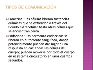  Paracrina : las células liberan sustancias
químicas que se extienden a través del
líquido extracelular hasta otras células que
se encuentran cerca.
 Endocrina : las hormonas endocrinas se
liberan en el torrente sanguíneo, donde
potencialmente pueden dar lugar a una
respuesta en casi todas las células del
cuerpo; pueden moverse por todo el cuerpo
en el sistema circulatorio en unos cuantos
segundos.
 