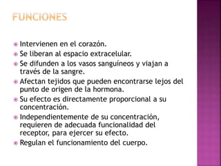  Intervienen en el corazón.
 Se liberan al espacio extracelular.
 Se difunden a los vasos sanguíneos y viajan a
través de la sangre.
 Afectan tejidos que pueden encontrarse lejos del
punto de origen de la hormona.
 Su efecto es directamente proporcional a su
concentración.
 Independientemente de su concentración,
requieren de adecuada funcionalidad del
receptor, para ejercer su efecto.
 Regulan el funcionamiento del cuerpo.
 