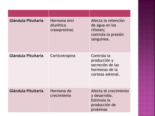 Glándula Pituitaria Hormona Anti
diurética
(vasopresina)
Afecta la retención
de agua en los
riñones;
controla la presión
sanguínea.
Glándula Pituitaria Corticotropina Controla la
producción y
secreción de las
hormonas de la
corteza adrenal.
Glándula Pituitaria Hormona de
crecimiento
Afecta el crecimiento
y desarrollo.
Estimula la
producción de
proteínas
 