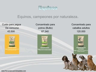 Equinos, campeones por naturaleza.
Cuido para yegua Concentrado para Concentrado para
De concurso potros (Bulto) caballos adultos
43.500 67.340 120.000
 