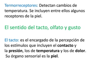 Termorreceptores: Detectan cambios de
temperatura. Se incluyen entre ellos algunos
receptores de la piel.
El sentido del tacto, olfato y gusto
El tacto: es el encargado de la percepción de
los estímulos que incluyen el contacto y
la presión, los de temperatura y los de dolor.
Su órgano sensorial es la piel.
 