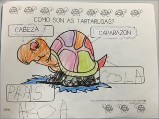 TARTARUGAS