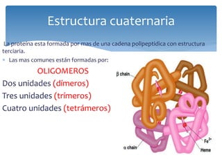 La proteína esta formada por mas de una cadena polipeptidica con estructura
terciaria.
 Las mas comunes están formadas por:
OLIGOMEROS
Dos unidades (dímeros)
Tres unidades (trímeros)
Cuatro unidades (tetrámeros)
Estructura cuaternaria
 