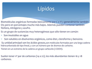 Biomoléculas orgánicas formadas básicamente por C e H y generalmente también
O2; pero en porcentajes mucho más bajos. Además pueden contener también
fósforo, nitrógeno y azufre.
Es un grupo de sustancias muy heterogéneas que sólo tienen en común:
 Son insolubles en agua
 Son solubles en disolventes orgánicos, como éter, cloroformo y benceno.
Su unidad principal son los ácidos grasos,son moléculas formadas por una larga cadena
hidrocarbonada de tipo lineal, y con un número par de átomos de carbono.
Tienen en un extremo de la cadena un grupo carboxilo (-COOH).
Suelen tener nº par de carbonos (14 a 22), los más abundantes tienen 16 y 18
carbonos.
Lípidos
 