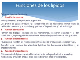 Existen 4 tipos de funciones:
1. Función de reserva:
Principal reserva energética del organismo
Un gramo de grasa produce 9'4 kilocalorías en las reacciones metabólicas de
oxidación, mientras que proteínas y glúcidos sólo producen 4'1 kilocaloría/gr.
2. Función estructural:
Forman las bicapas lipídicas de las membranas. Recubren órganos y le dan
consistencia, o protegen mecánicamente como el tejido adiposo de pies y manos.
3. Función biocatalizadora:
Favorecen o facilitan las reacciones químicas que se producen en los seres vivos.
Cumplen esta función las vitaminas lipídicas, las hormonas esteroideas y las
prostaglandinas.
4. Función transportadora:
El transporte de lípidos desde el intestino hasta su lugar de destino se realiza
mediante su emulsión gracias a los ácidos biliares y a los proteolípidos.
Funciones de los lípidos
 